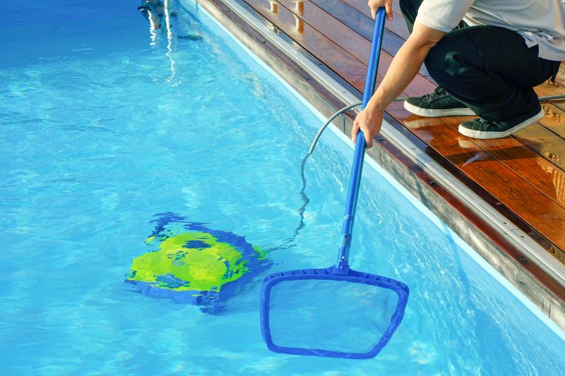 Pool Algae Removal